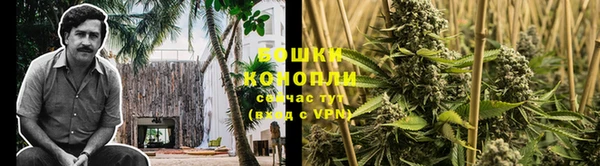 spice Бородино