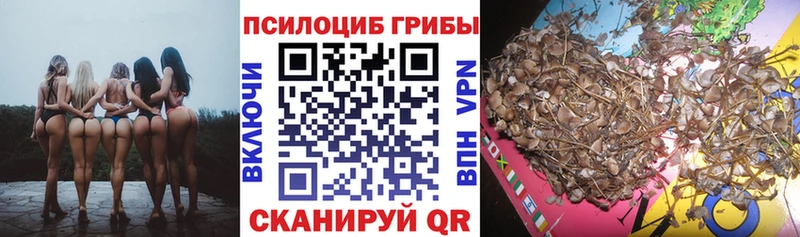 Псилоцибиновые грибы GOLDEN TEACHER Валуйки
