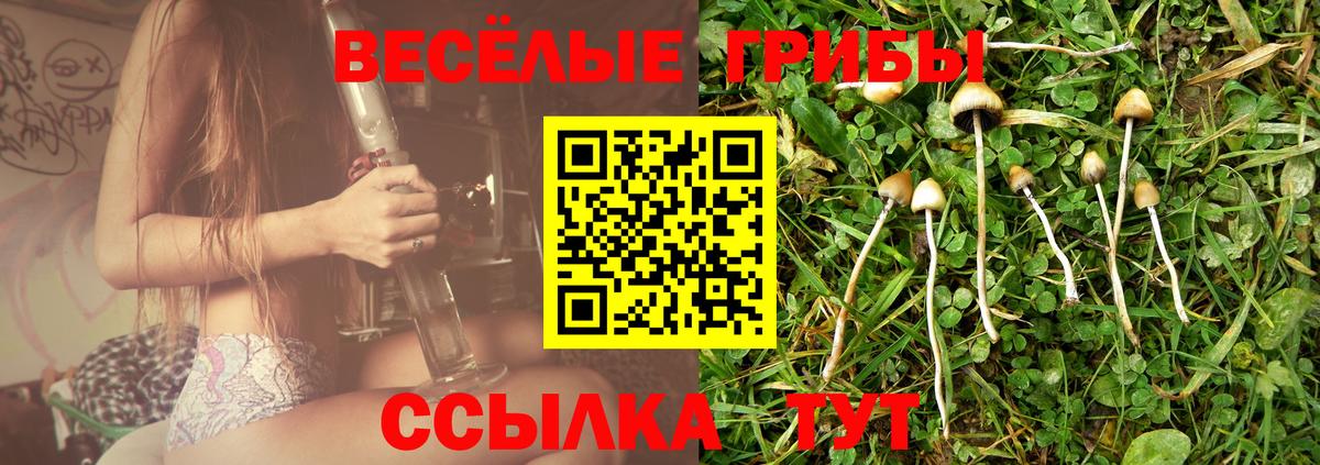 Псилоцибиновые грибы Magic Shrooms  Валуйки 