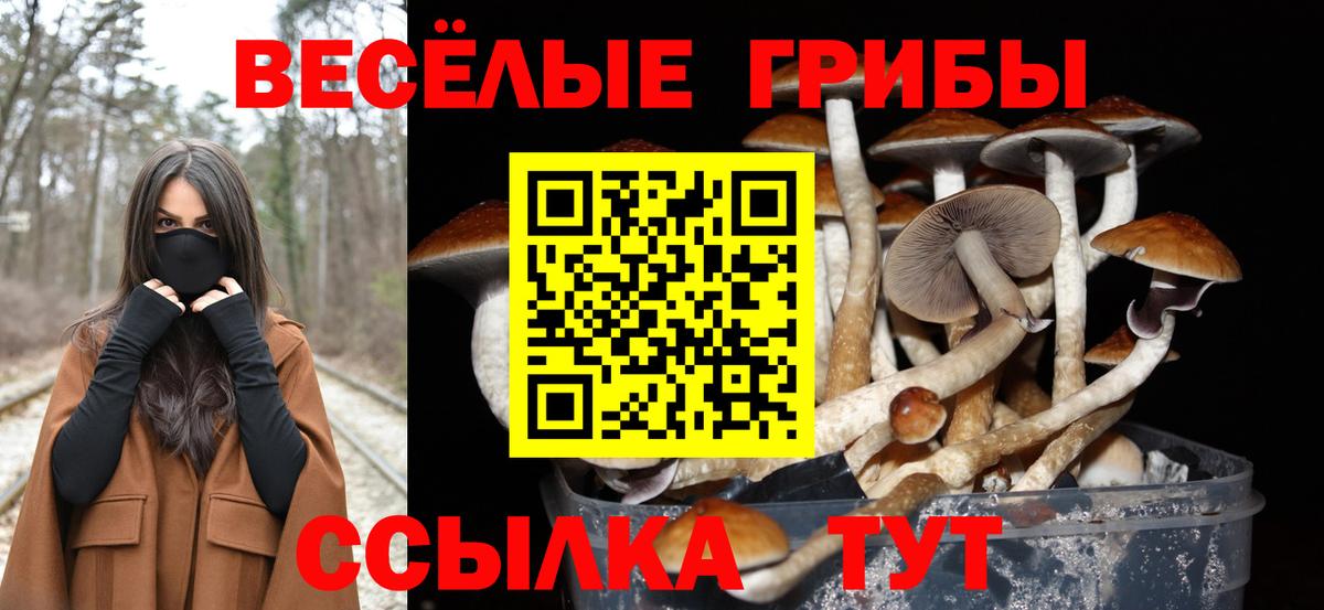 Галлюциногенные грибы мицелий  Галлюциногенные грибы MAGIC MUSHROOMS  как найти наркотики  Валуйки  Вход с VPN 