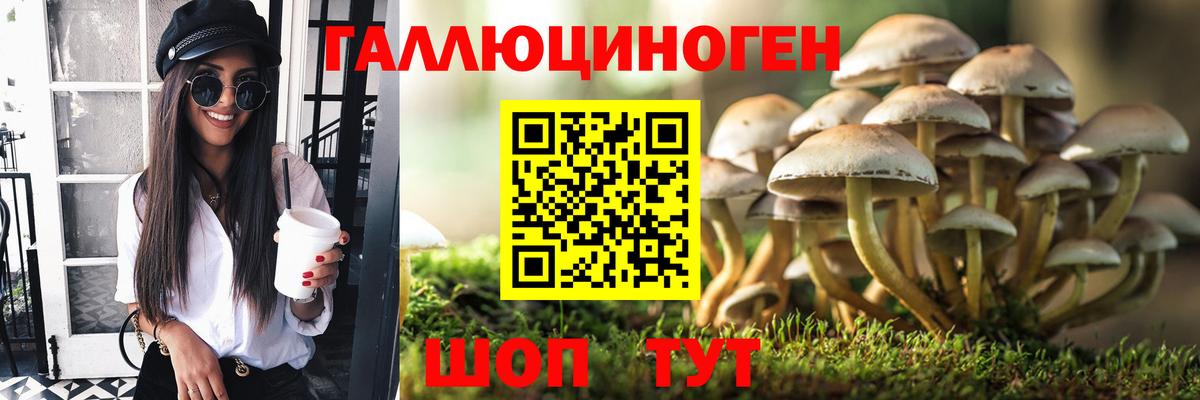 Псилоцибиновые грибы Cubensis Валуйки