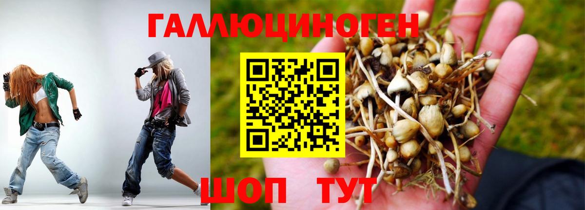 Псилоцибиновые грибы Psilocybine cubensis Валуйки