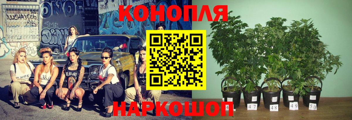 МАРИХУАНА план  Бошки Шишки тримм  Валуйки  МАРИХУАНА Ganja  Каннабис VHQ 